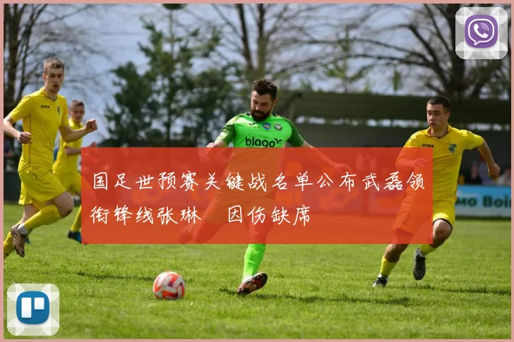 国足世预赛关键战名单公布武磊领衔锋线张琳芃因伤缺席